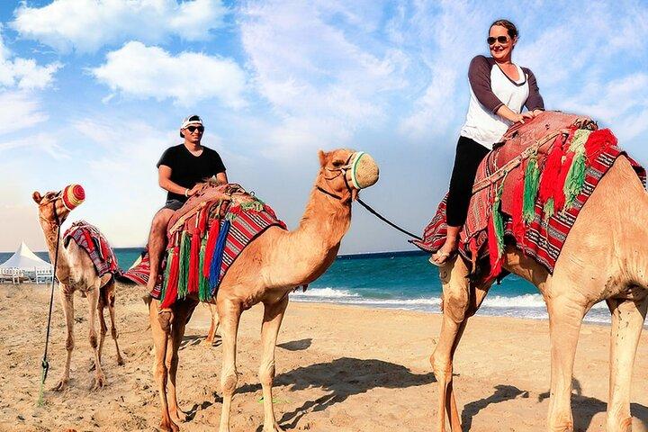 Doha Desert Safari Kamelreiten, Sandboarden und Binnensee