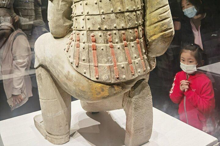 Terra cotta Army Museum Service de guide anglophone