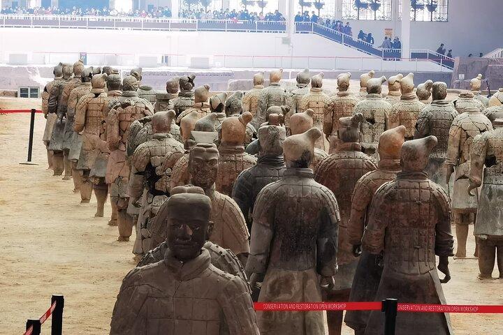 Terra cotta Army Museum Service de guide anglophone