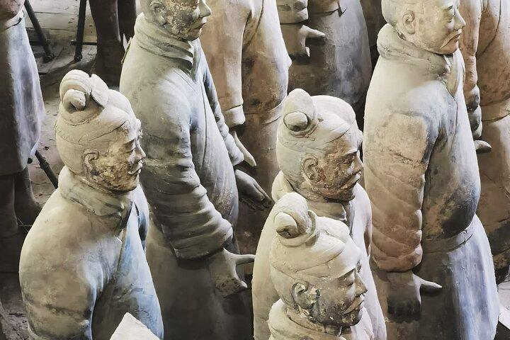 Terra cotta Army Museum Service de guide anglophone