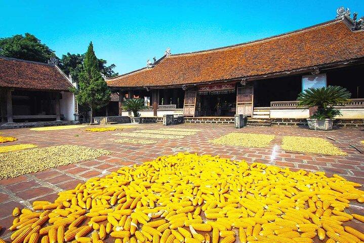 Mystical Hanoi: Thay Pagoda & Duong Lam Village Private Tour