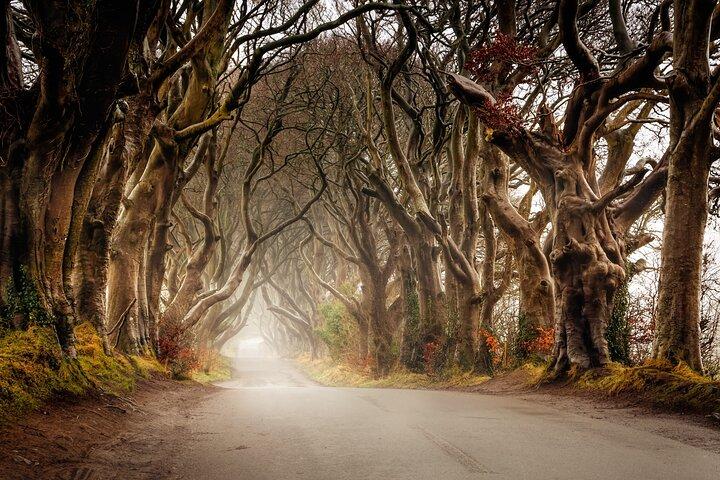 Giants Causeway and Castles from Belfast: Guided Tour
