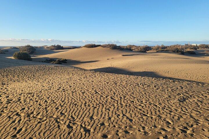 Excursion Privée depuis Las Palmas Dunes et Montagnes