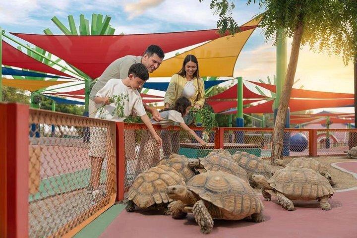 ドバイサファリパーク入場券（プライベート送迎付き）