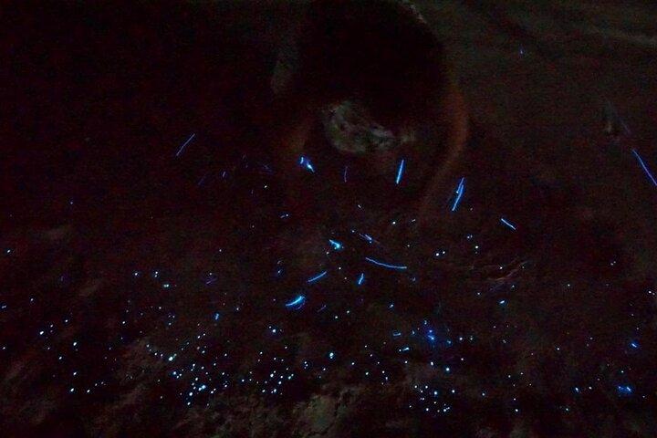 Holbox Kayak Bioluminescentie Ervaring