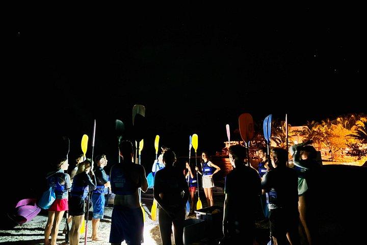 Holbox Kayak Bioluminescence Experience