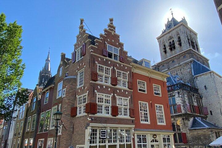 Tour privato di Kinderdijk, Delft e L'Aia da Amsterdam