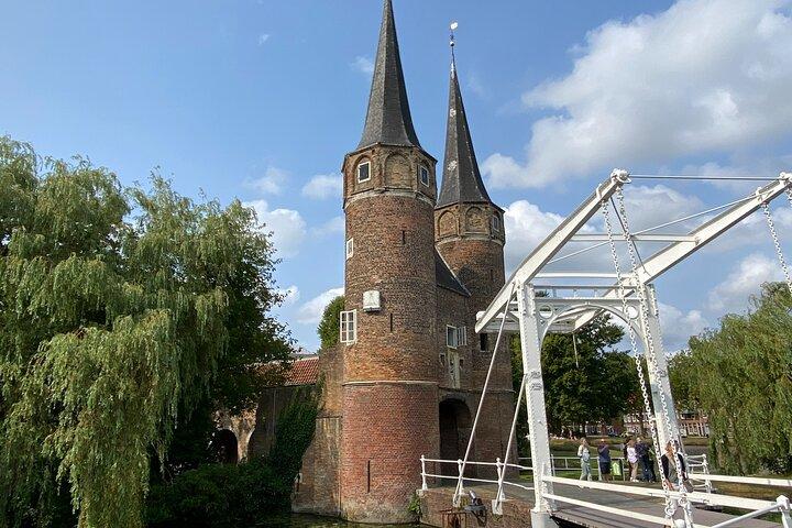 Tour privato di Kinderdijk, Delft e L'Aia da Amsterdam