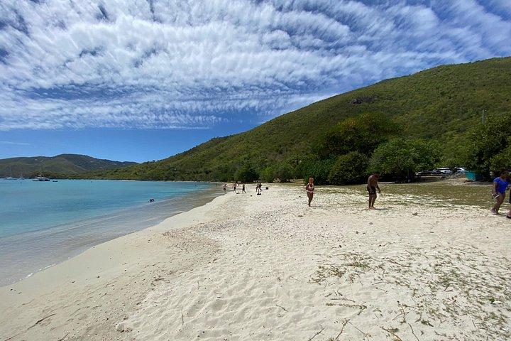 Snorkeling with Sea Turtles at St. Thomas
