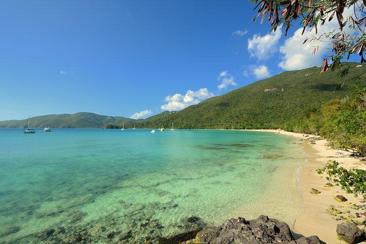 Fare snorkeling con le tartarughe marine a St. Thomas