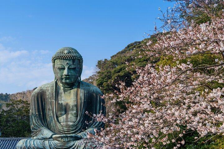 鎌倉へ日帰りツアー - 東京からビーチ・自然・温泉