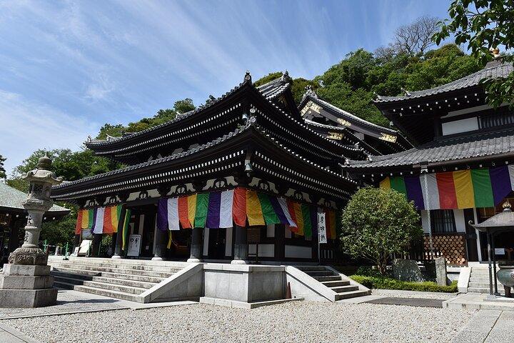 鎌倉へ日帰りツアー - 東京からビーチ・自然・温泉