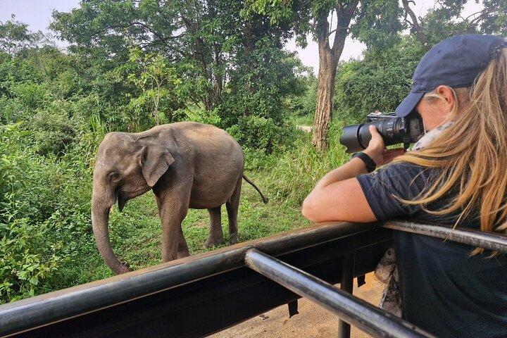 Safari di 5 giorni nella natura in Sri Lanka