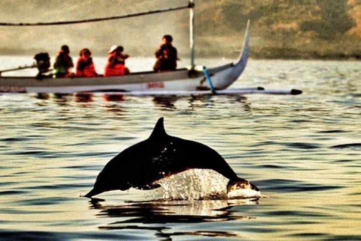 サンライス、シュノーケリング、滝付きバリ島ロビナイルカツアー