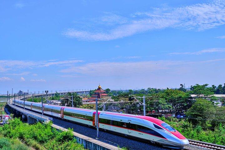 Hangzhou Private Customized Day Trip from SH by Bullet Train