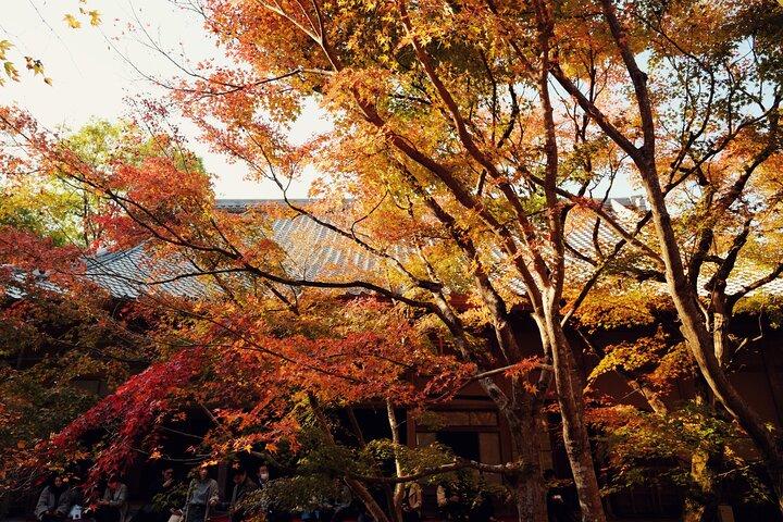 Excursion d'une journée classique de luxe à Kyoto - Excursion privée en voiture personnalisée