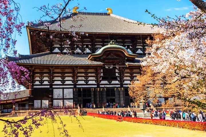 Nara Deer Park, Todaiji Temple, Uji Matcha & Hot Spring Day Tour