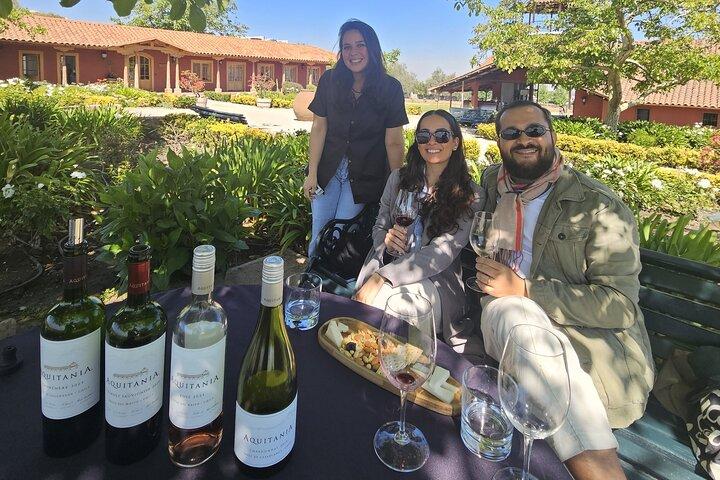 Private Maipo Valley Wine Experience: 2 Premium Wineries & Lunch