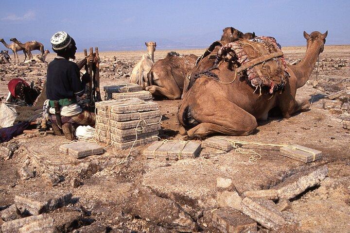 3 días de aventura por la depresión de Danakil