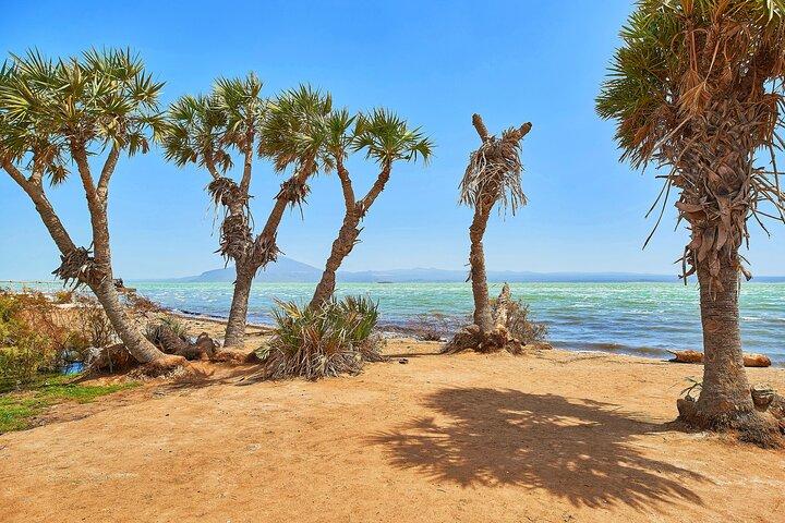 3 días de aventura por la depresión de Danakil