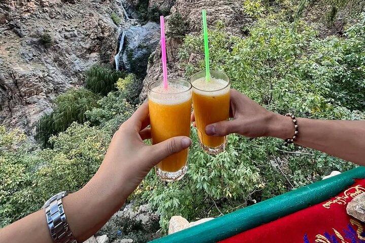 Marrakech: Atlas Mountains, Ourika Valley com almoço e guia
