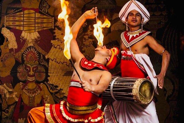 Visite privée de luxe de 14 jours au Sri Lanka