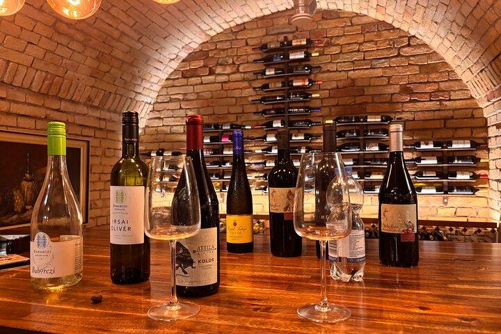 Degustação de vinhos e experiência patrimonial em Budapeste no Goldcentral