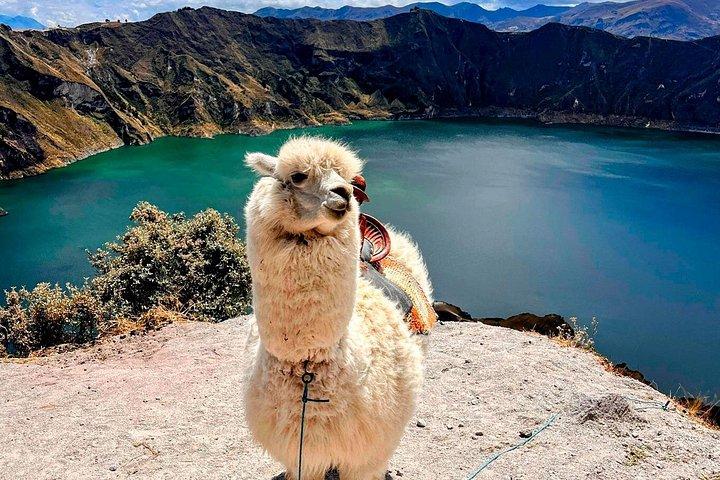 Ecuador Adventure Escape: Volcanoes, Waterfalls, Amazon & Rafting