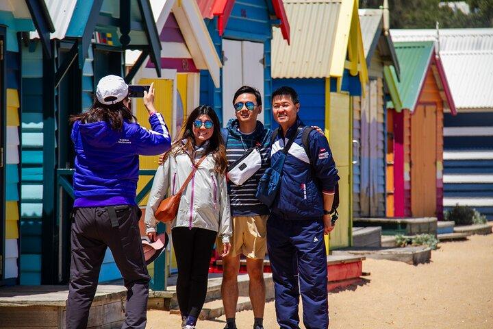 メルボルン発ペンギンパレード＆野生動物遭遇エコツアー