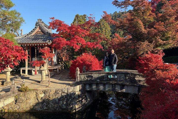 京都初鳥英語ツアー：伏見稲荷＆祇園（プライベートオプト）