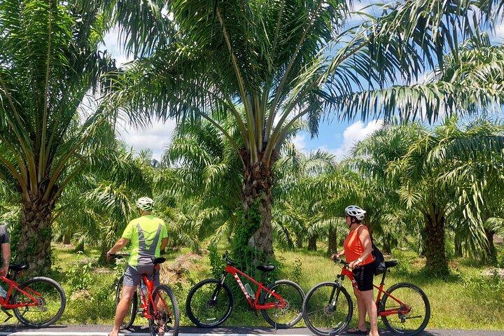 カオラックの滝と湖半日サイクリングツアー（昼食付き）