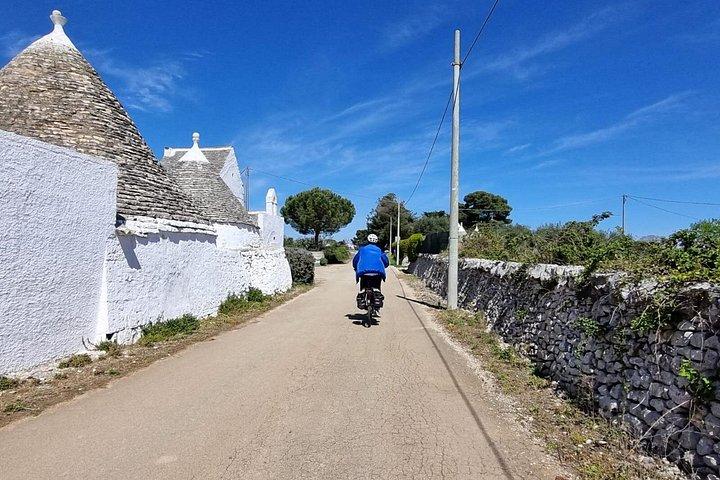 チステルニーノ、マルティナ フランカ、ロコロトンド間の電動自転車ツアー