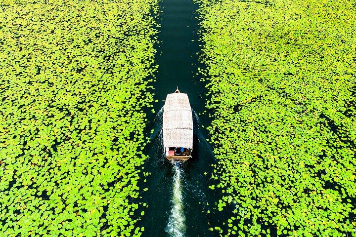 Skadar Lake National Park Guided Boat Tour with Wooden Boat
