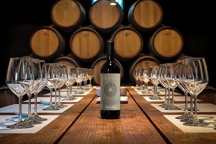 San Gimignano e Wine Experience nel Chianti dal porto di Livorno