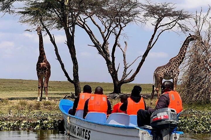Hoteller i nærheden af Lake Naivasha and Hells Gate National Park