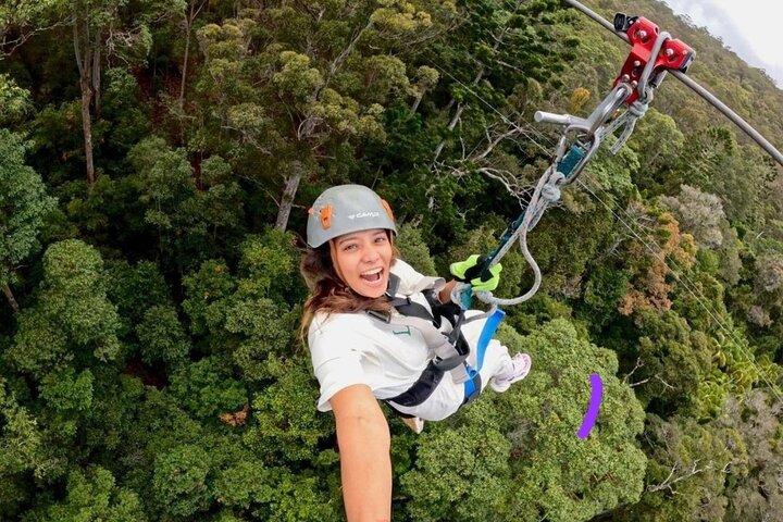 Excursion en tyrolienne de Gold Coast Canyon Flyer