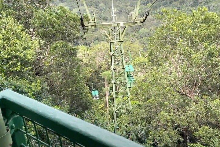 Excursión en tierra de Panamá : Exploración del Tranvía Aéreo & Panorámica PTY