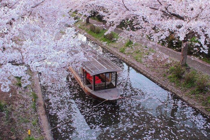 Tour por la cervecería Fushimi Cherry Blossom y Sake