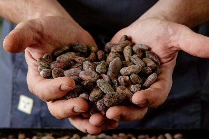 Visite guidée et dégustation de la chocolaterie de Turin