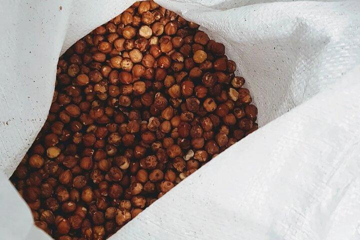 Visite guidée et dégustation de la chocolaterie de Turin