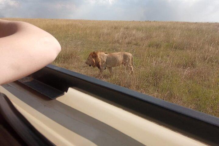 Maasai Mara Safari