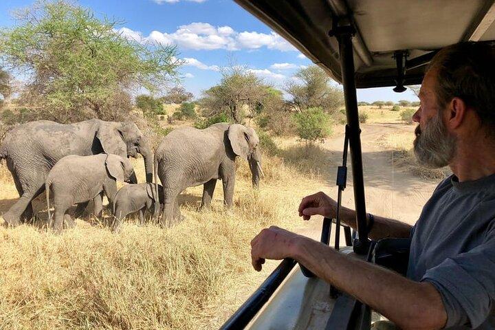 Seks dage Kenya og Tanzania Masai Mara Serengeti Ngorongoro Tour