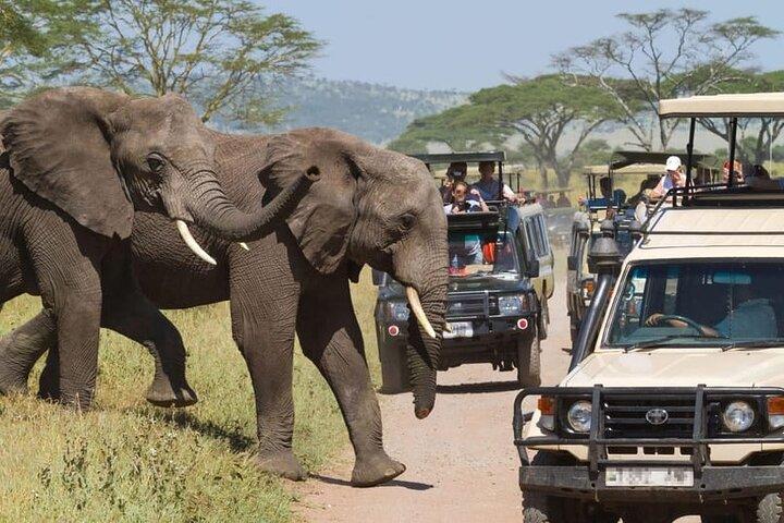 Excursion de six jours au Kenya et en Tanzanie Masai Mara Serengeti Ngorongoro