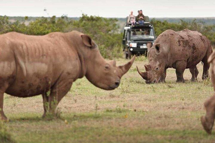Seks dage Kenya og Tanzania Masai Mara Serengeti Ngorongoro Tour