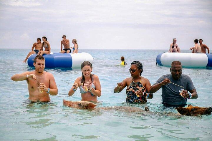 Svømning Svine af Rose Island Vand Taxi & Turtle Se Nassau