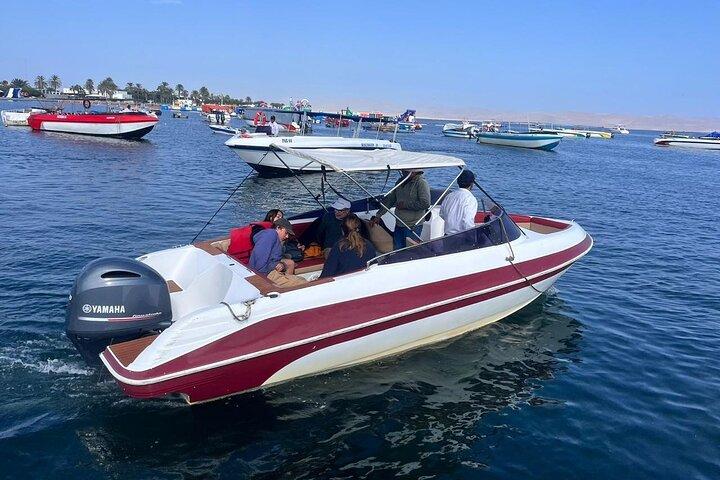 Visite privée des îles Ballestas et de l'île Blanche depuis Paracas