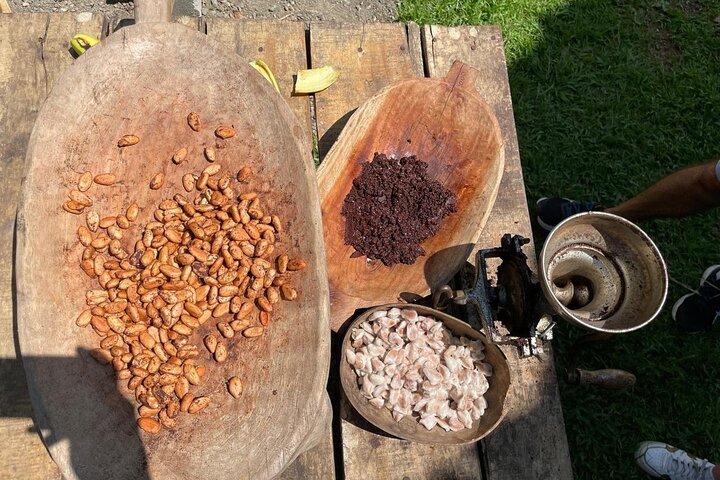 Chocolade, watervallen en een ervaring met de inheemse Bribri-cultuur