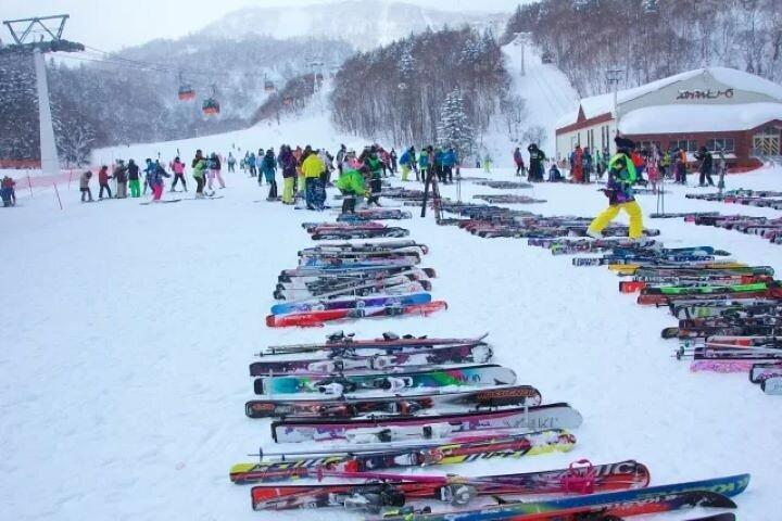 1 Day Ski Tour Package from Sapporo Station