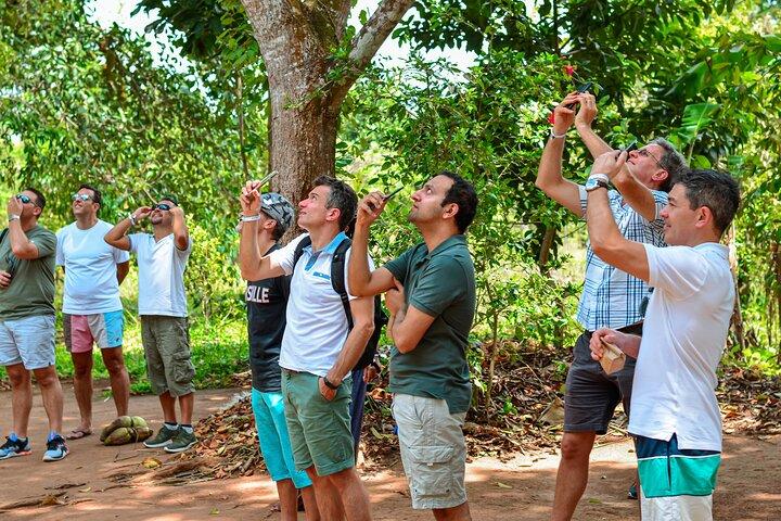 Zanzibar Spice Farm Tour