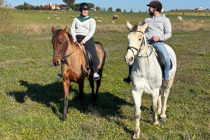 Paseos a caballo en Évora